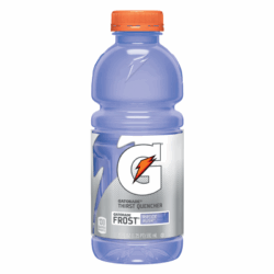GATORADE RIPTIDE RUSH (24X591ML)